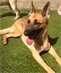 daycare pic 41 - Lucy L